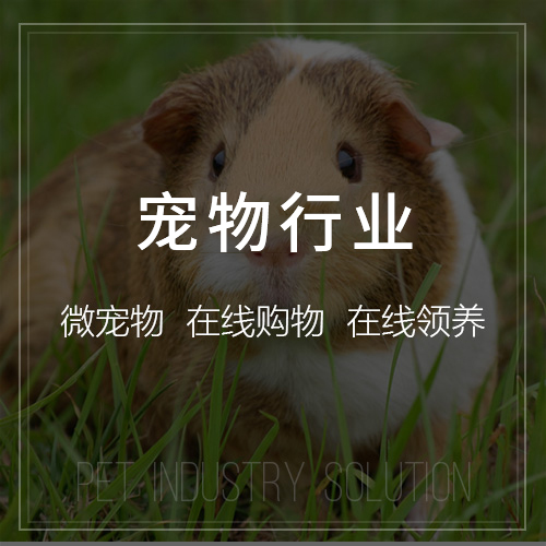 教育APP直播课模块的并发处理技术解析